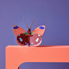 Studio Roof Delias Butterfly | Conscious Craft